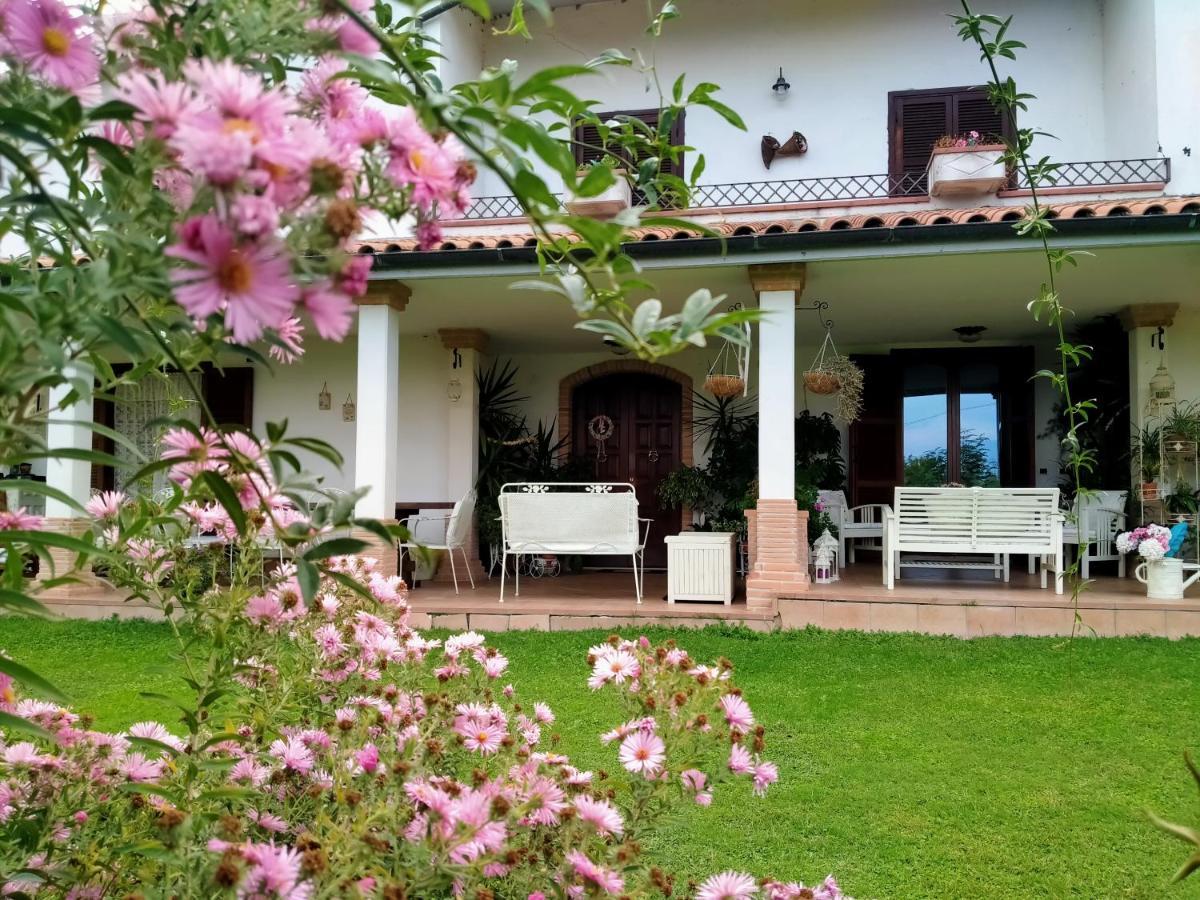 Greccio B&B Il Cantico מראה חיצוני תמונה