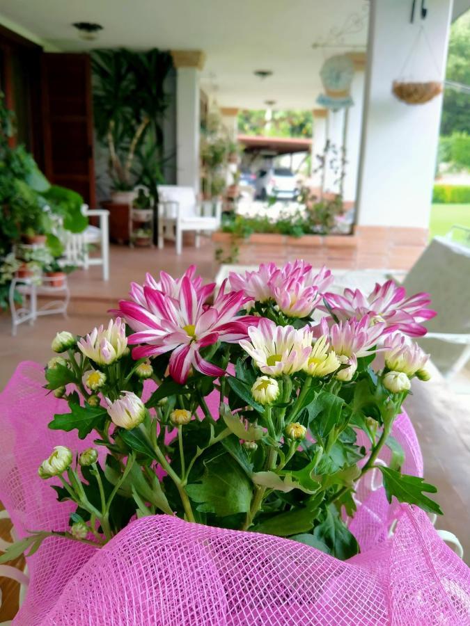 Greccio B&B Il Cantico מראה חיצוני תמונה