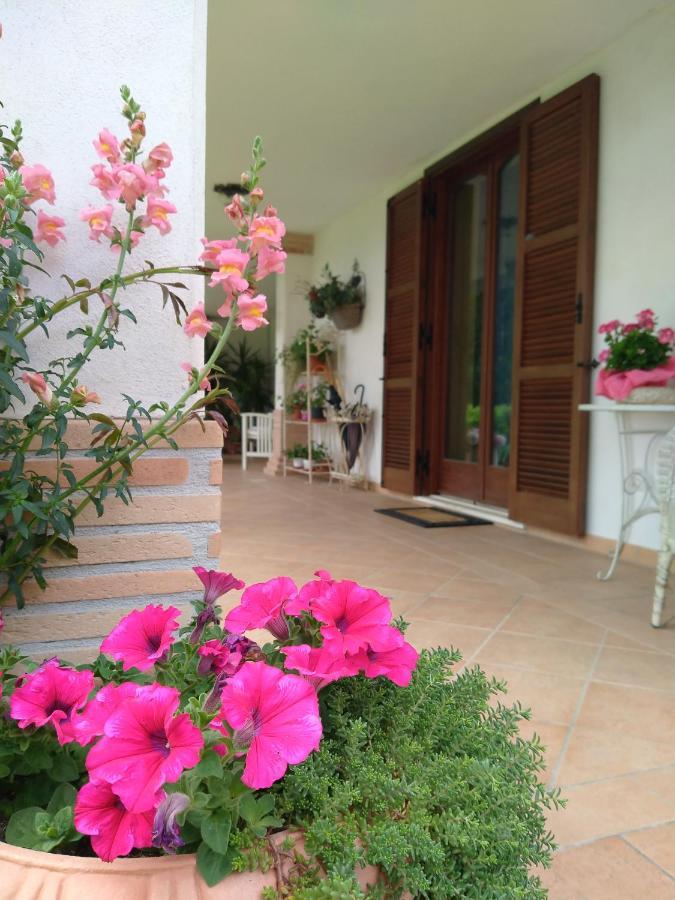 Greccio B&B Il Cantico מראה חיצוני תמונה