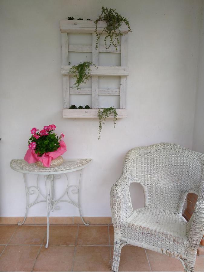 Greccio B&B Il Cantico מראה חיצוני תמונה