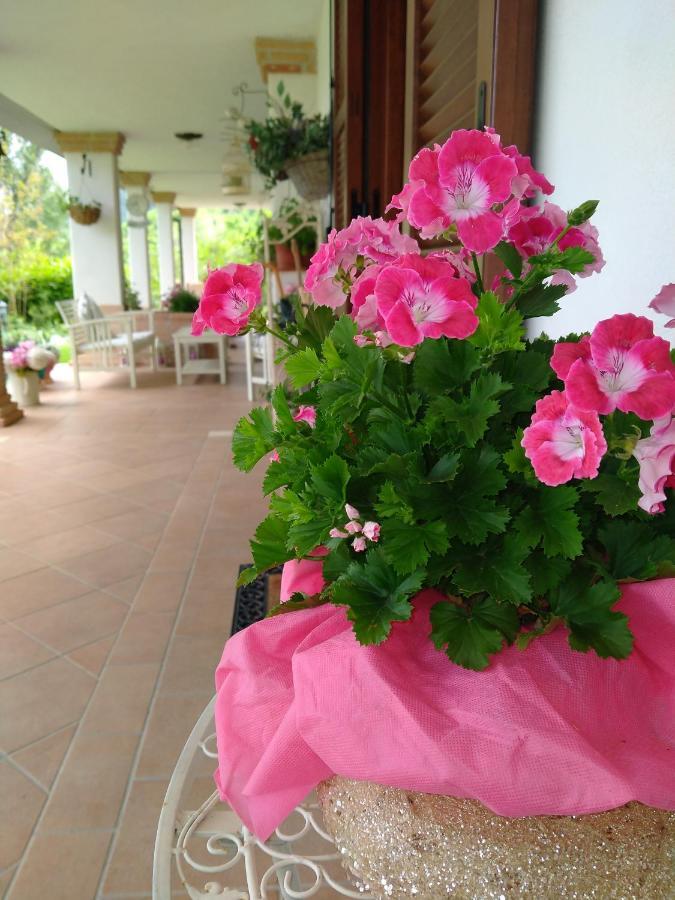 Greccio B&B Il Cantico מראה חיצוני תמונה