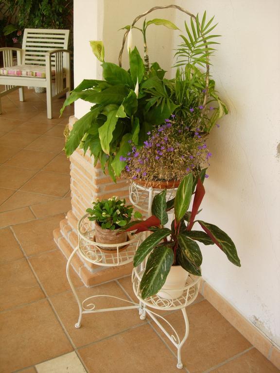 Greccio B&B Il Cantico חדר תמונה