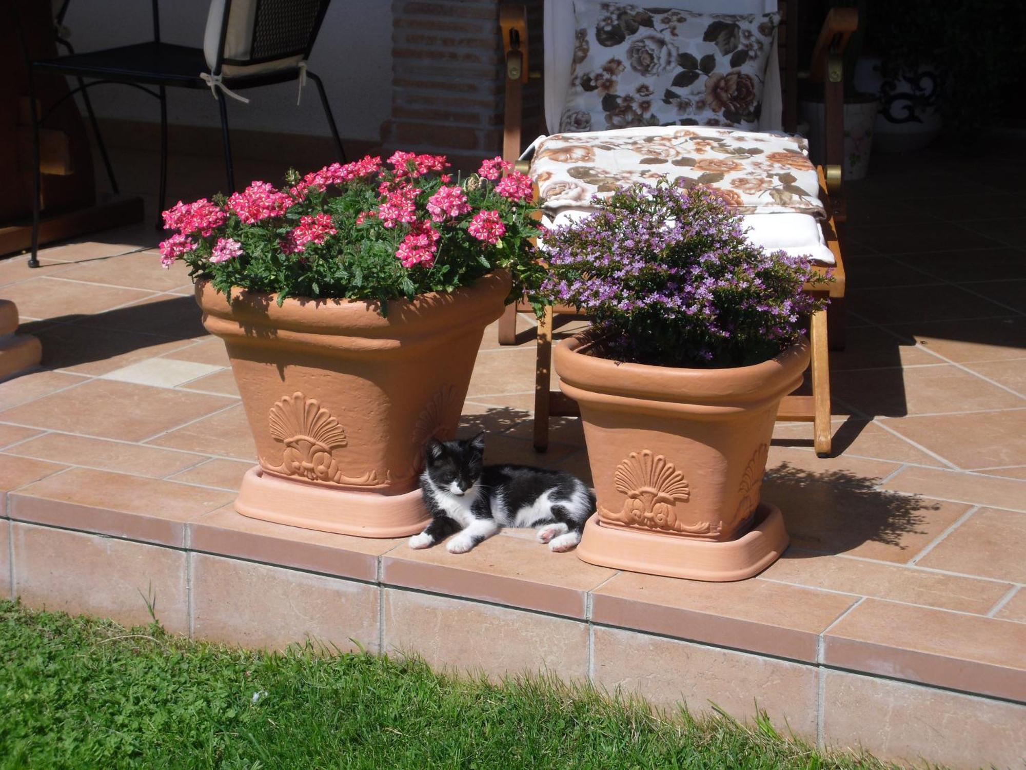 Greccio B&B Il Cantico חדר תמונה